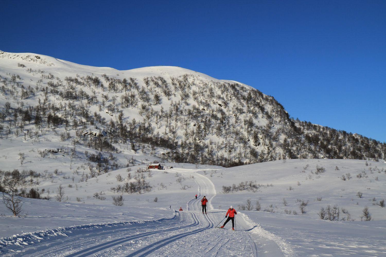 Balestrand Fjordapartments Bagian luar foto